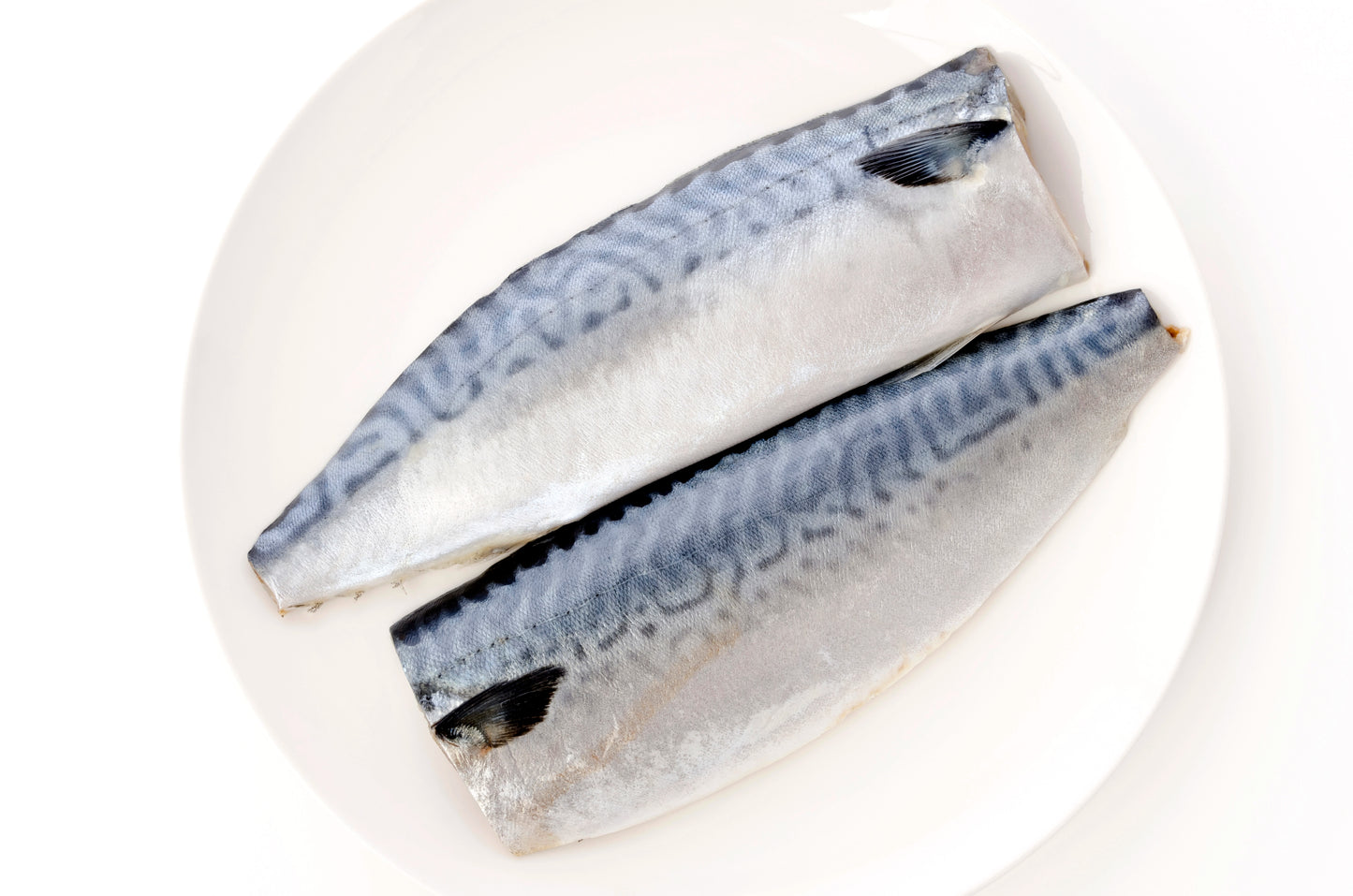 Mackerel Fillet