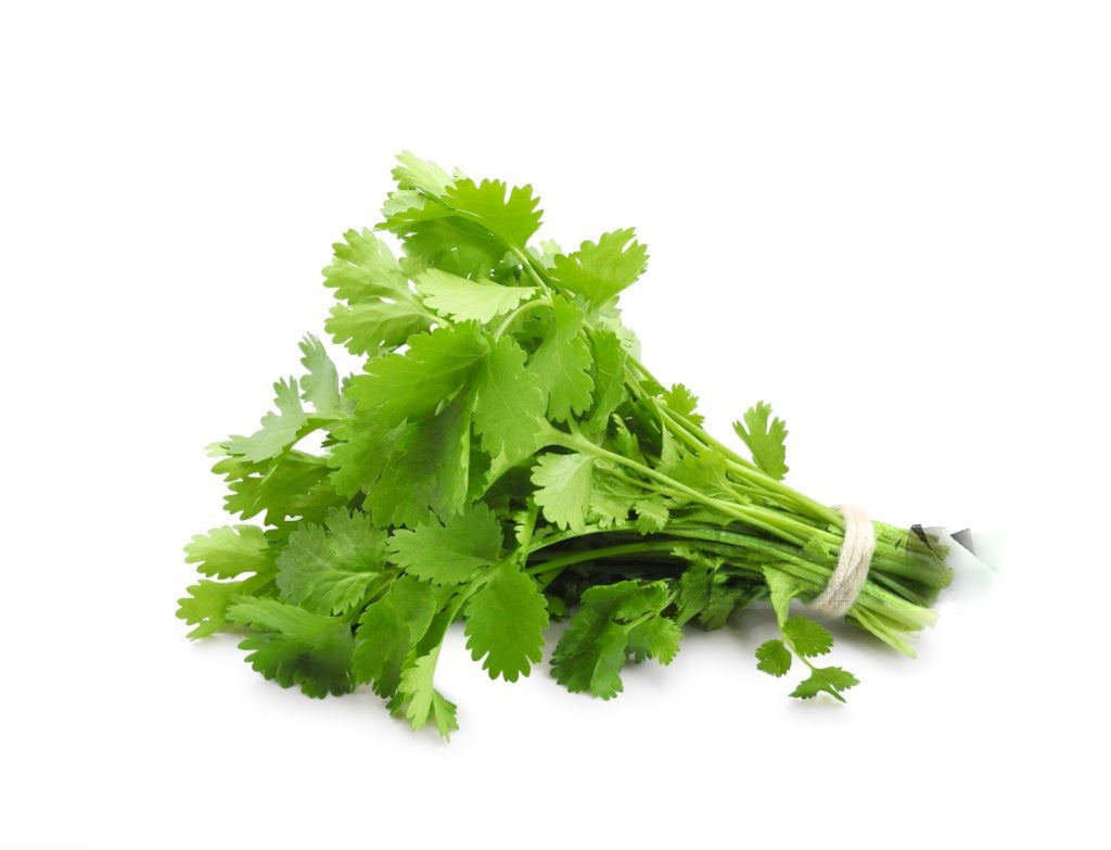Coriander
