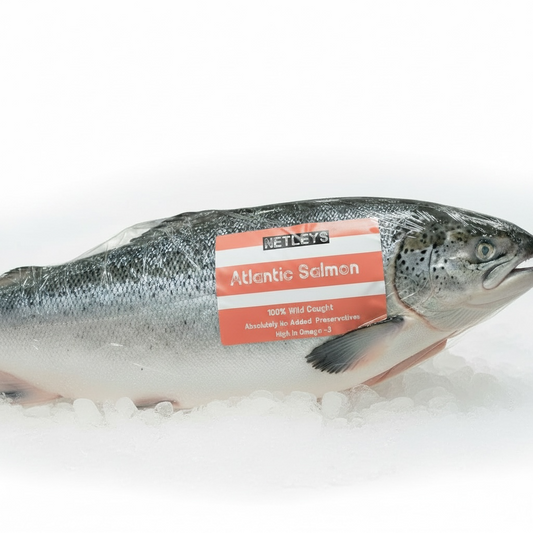 Whole Wild Atlantic Salmon