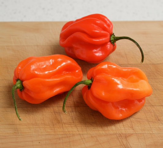 Scotch Bonnet