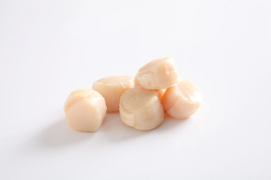 Scallops
