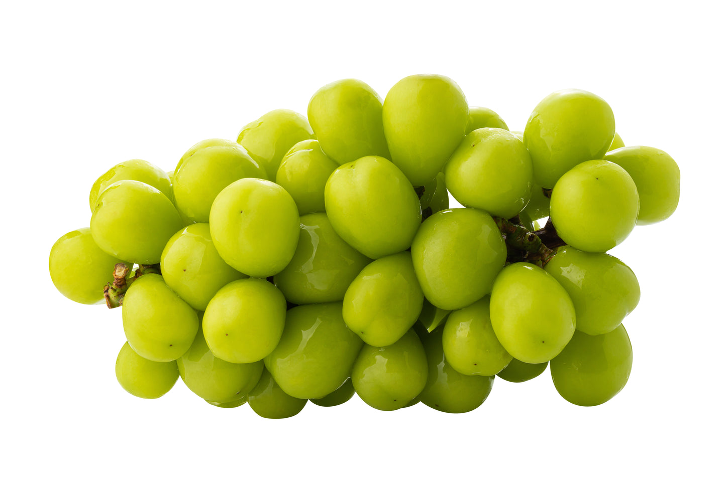 Muscat Grapes