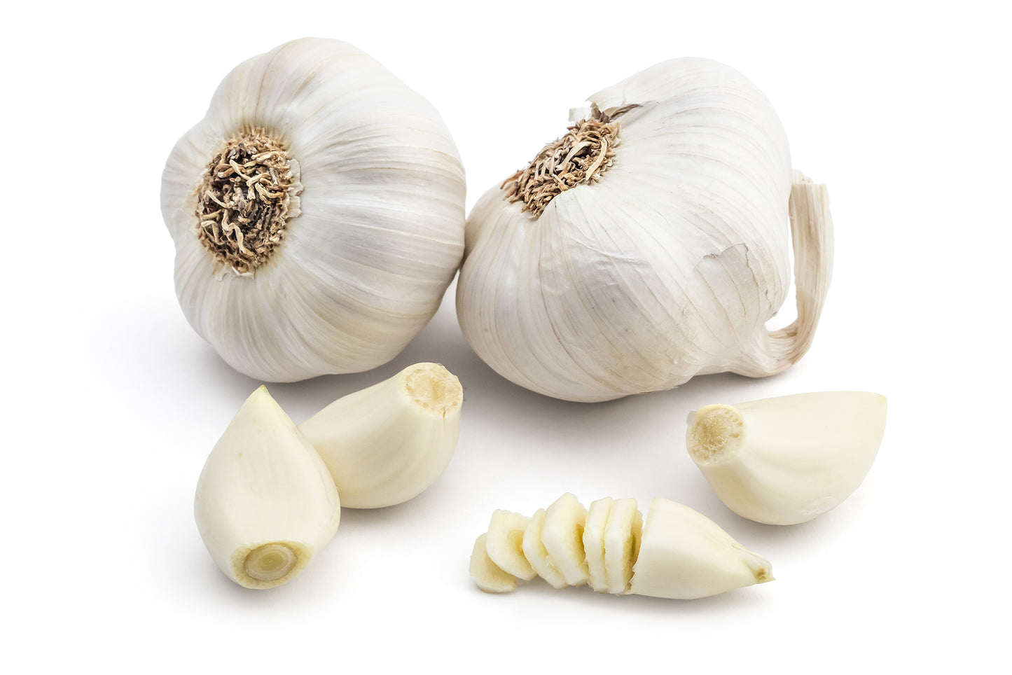 Garlic