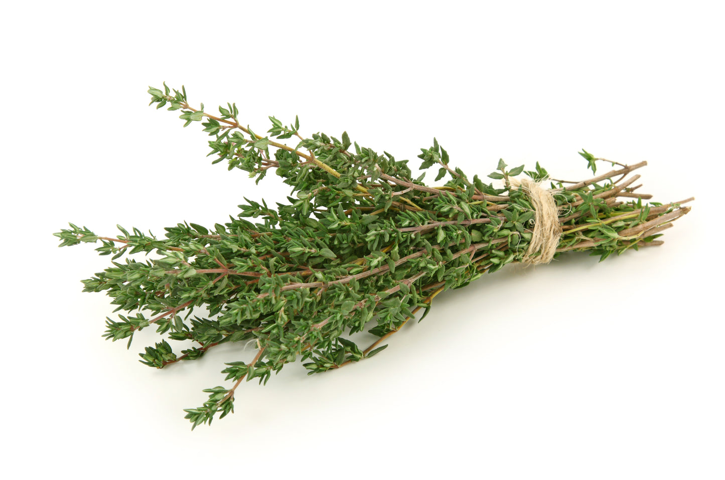 Thyme