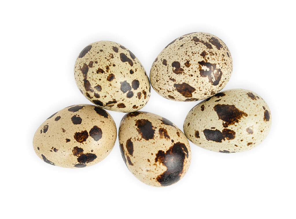 Quail Eggs