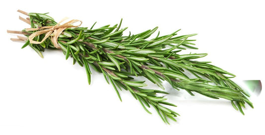 Rosemary